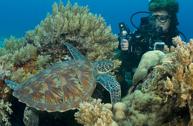 Underwater Photography